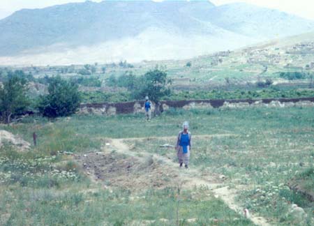 landmine3