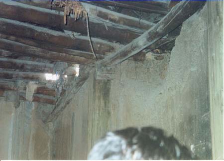 parsa_ceiling