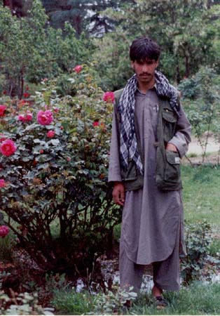 roses_guy