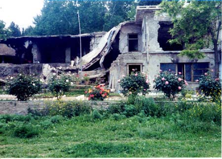 roses_rubble