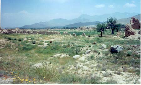 shamali