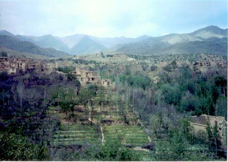 shamali2