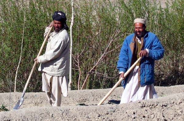 workers